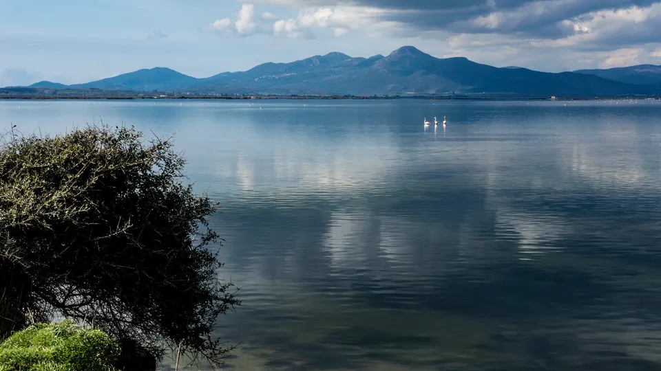 Ambracian Gulf Wetlands (Amvrakikos), photo by Gvasiliadis / Wikimedia Commons